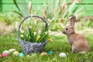 konkurs wielkanocny Tarnowo Podgórne