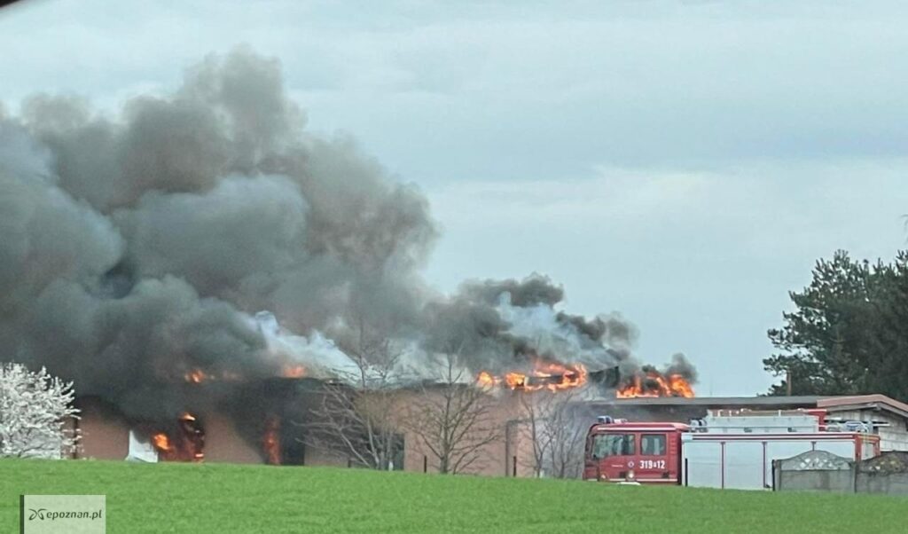 Pożar nieopodal term tarnowskich