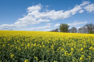 Urząd Gminy Tarnowo Podgórne przypomina o zwrocie akcyzy za olej napędowy