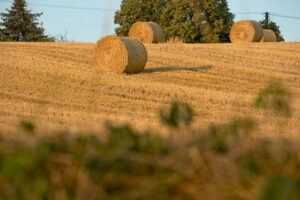 zwrot podatku akcyzowego rolnicy