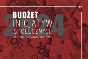 Zwycięskie projekty w ramach Budżetu Inicjatyw Społecznych w Gminie Tarnowo Podgórne