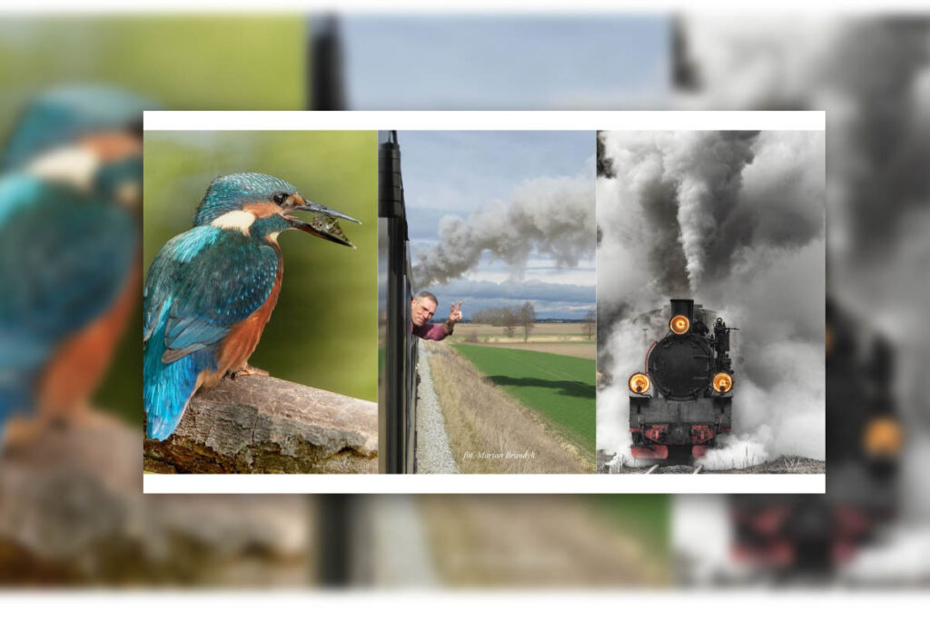 fotograf waldemar woźniak w Tarnowie Podgórnym