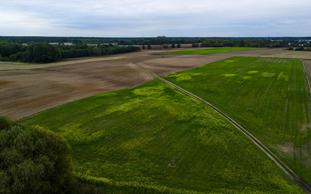 reforma planowania przestrzennego