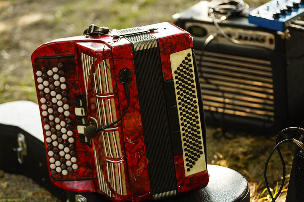 koncert Zuzanny CK Przeźmierowo