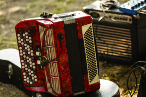 koncert Zuzanny CK Przeźmierowo